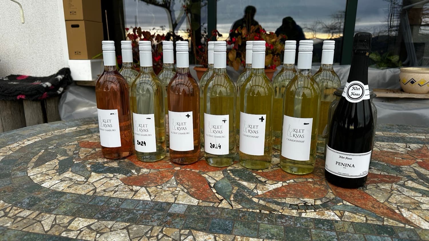 Steklenice vin, penine in vinjaka iz kleti Kvas